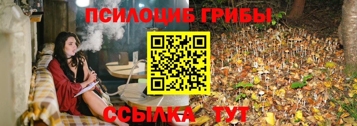 Кувандык  Галлюциногенные грибы Psilocybine cubensis  Вход с VPN 